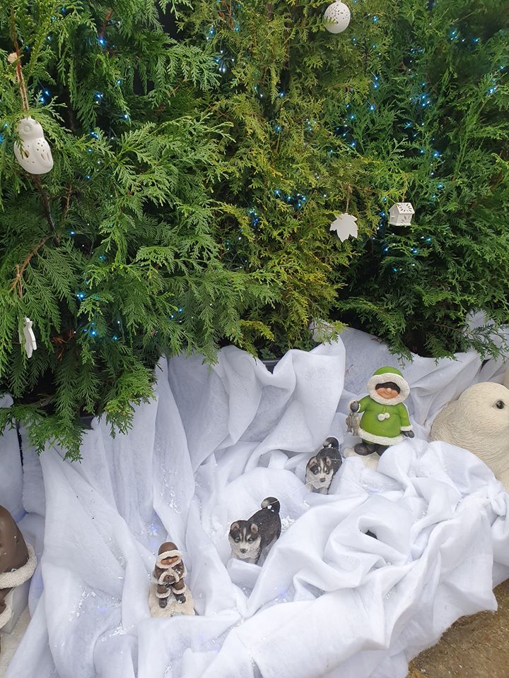 Visiting Santa At Oaktree Garden Centre. Unique Young Mum