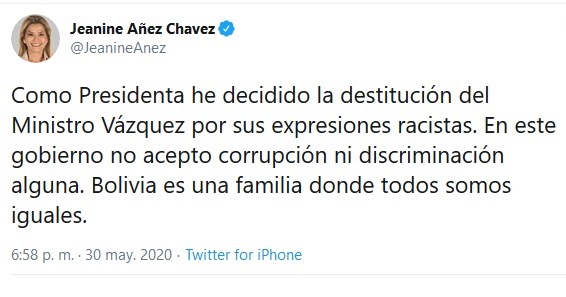 Jeanine Añez decide la destitución del Ministro Vázquez por sus ...