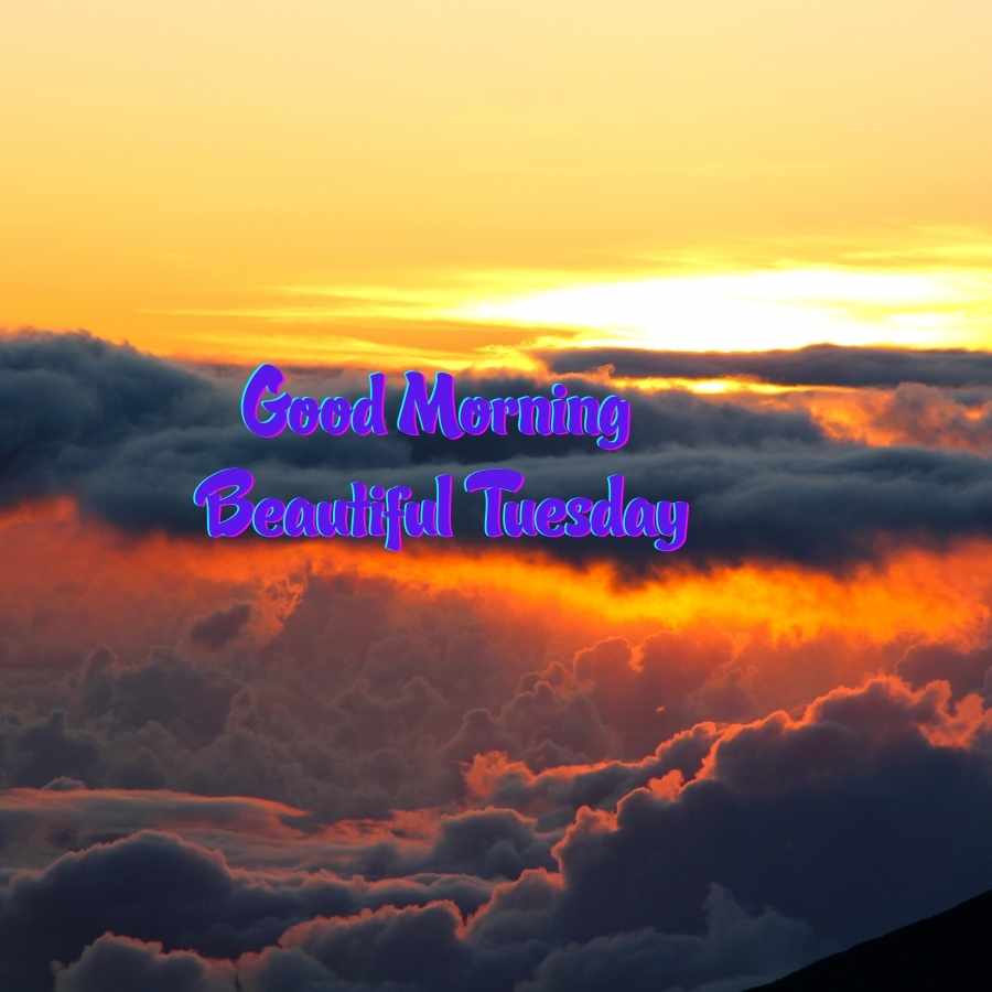 tuesday wishes images