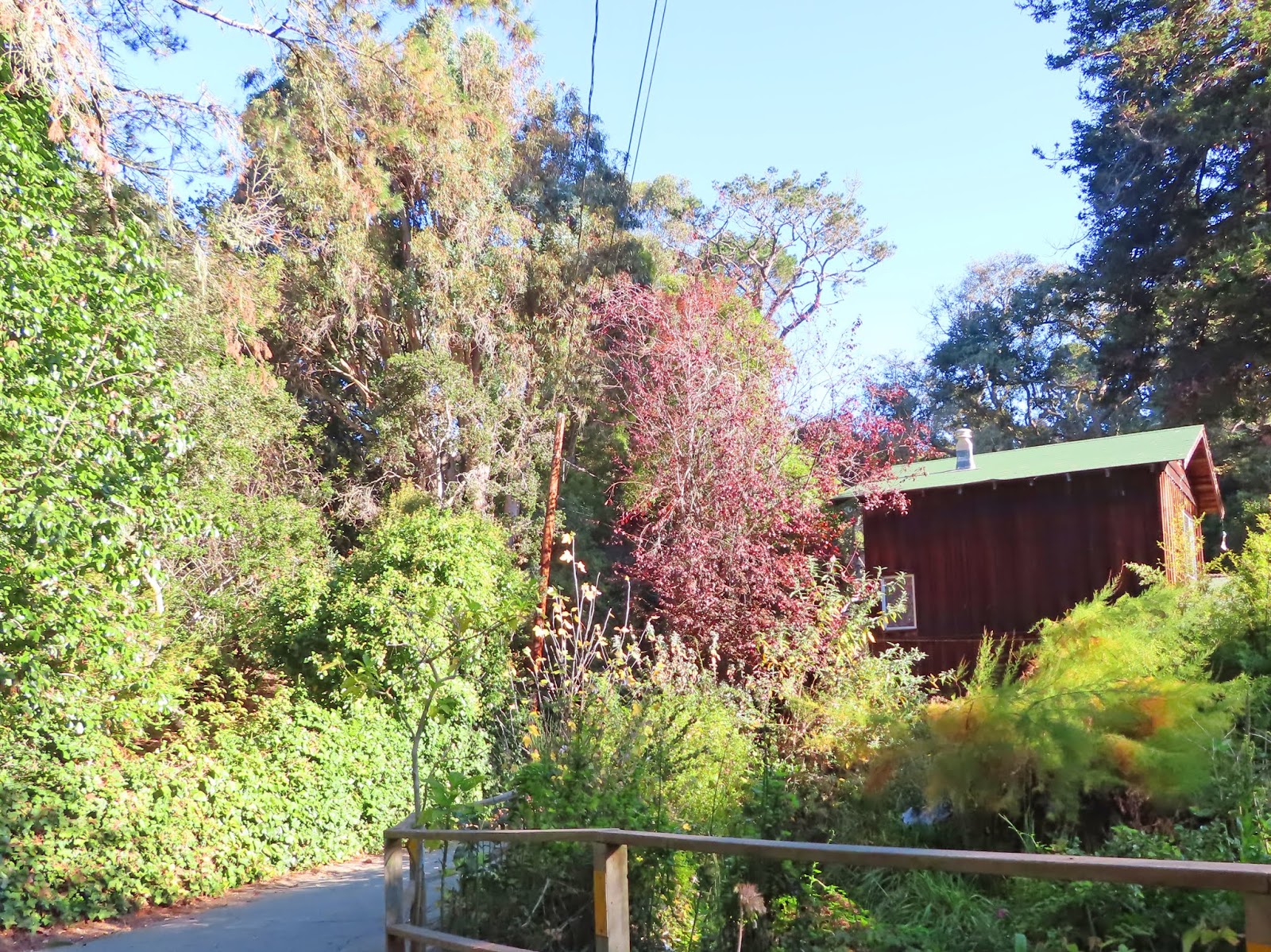 Carmel by the Sea Mission Ranch, Mission Trails Park, Mission Basilica