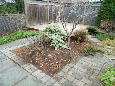 Oakwood Vaughan Toronto Backyard Fall Cleanup After by Paul Jung Gardening Services--a Toronto Gardening Company Oakwood Vaughan Toronto Backyard Fall Cleanup After by Paul Jung Gardening Services--a Toronto Gardening Company