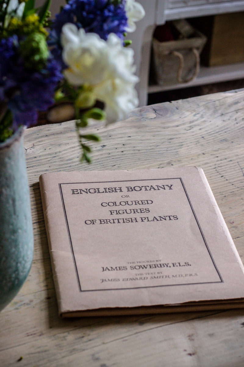 A handmade cottage Botanical print feature wall & how to hang pictures