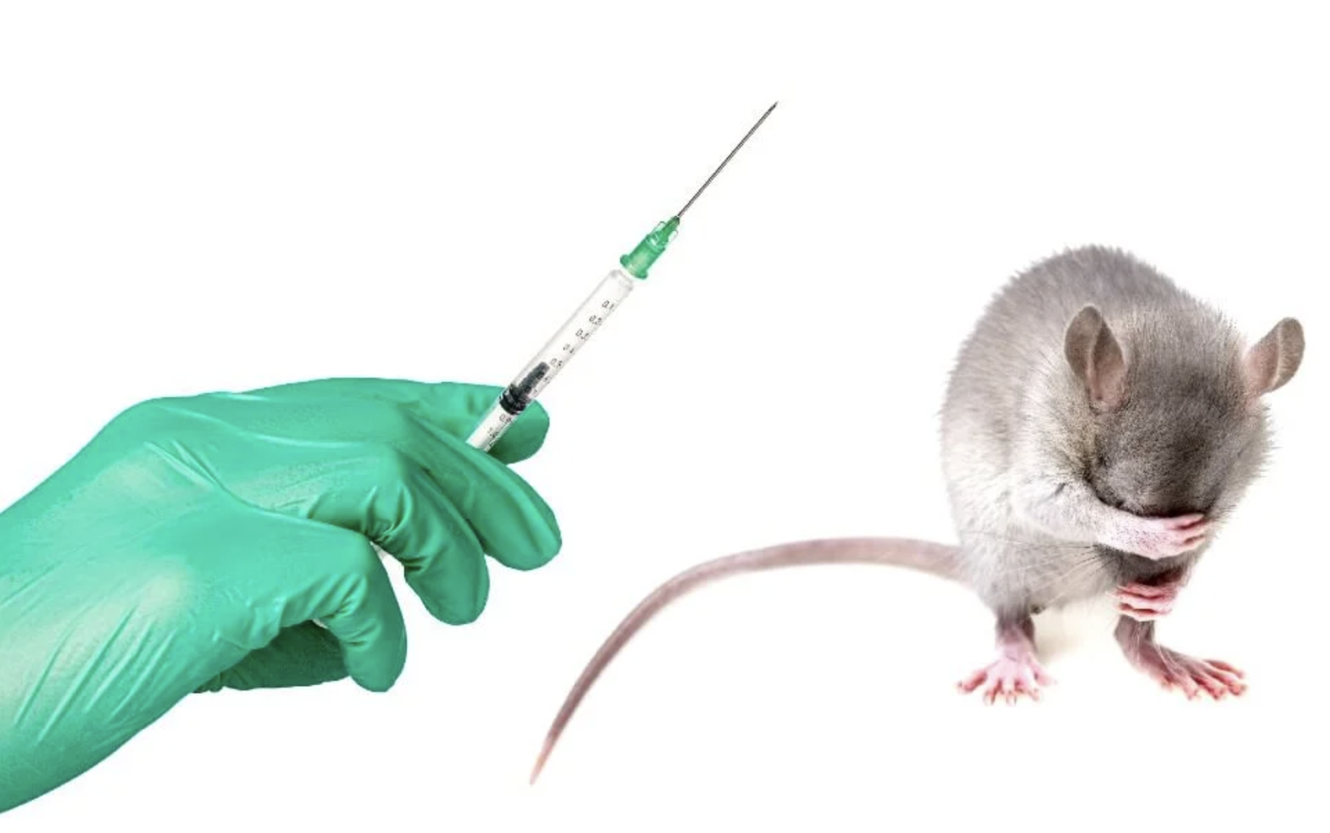 контроль над животными