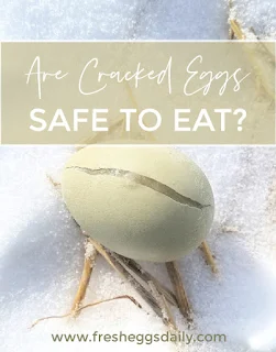 are cracked eggs safe to eat