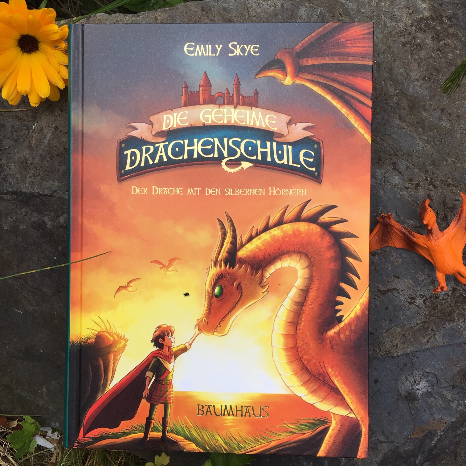 Buchverzueckt Die geheime Drachenschule (2) Der Drache mit den silbernen Hörner, Emily Skye Buchverzueckt Die geheime Drachenschule (2) Der Drache mit den silbernen Hörner, Emily Skye