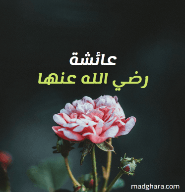 عائشة رضي الله عنها