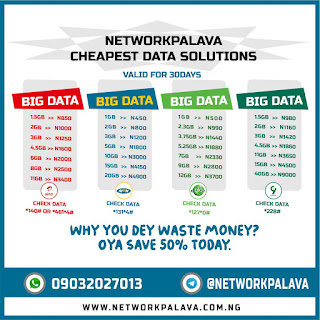 networkpalava cheap data plans 1GB for n400