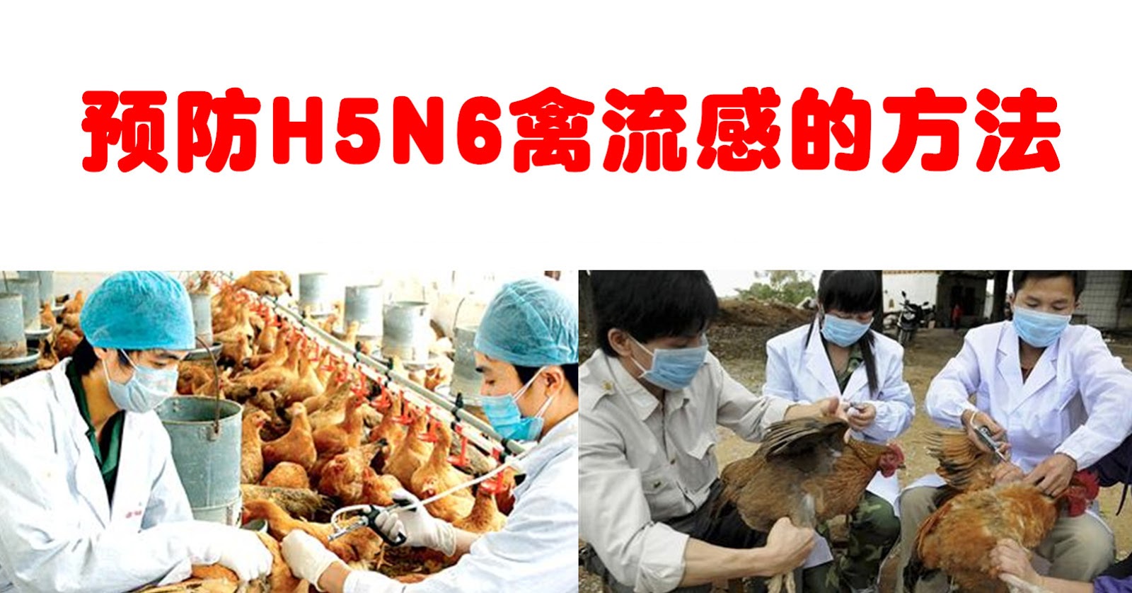 流感海報 - 國立清華大學衛生保健組