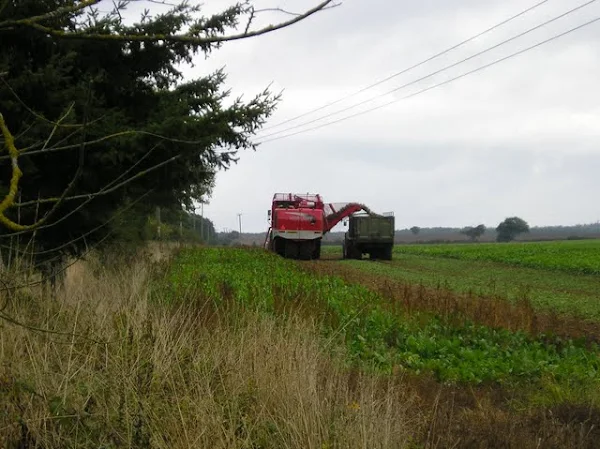 North Walsham to Cromer Walk