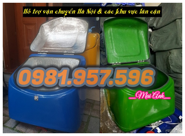 Phụ tùng, dịch vụ: Thùng giao hàng dung tích 60L, thùng giao hàng dung tích 70L 4