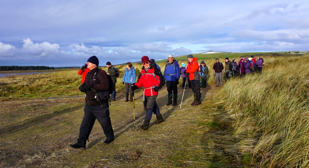 The Glebe Blog Wigtownshire RamblersSt Helena IslandGlenluce Abbey January 2015