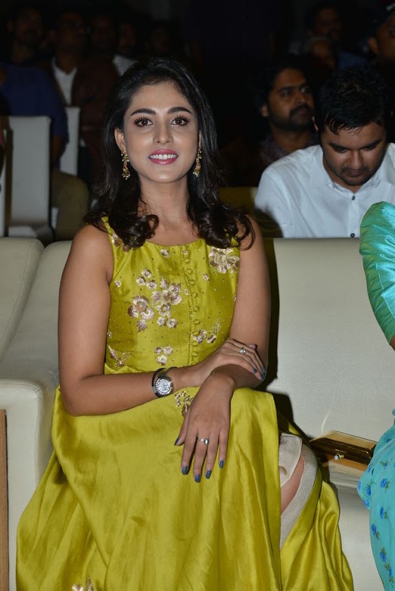 Madhu Shalini at Goodachari Pre Release Function