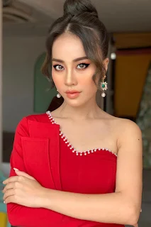 Nhan sắc MC VTV vừa bị loại khỏi Hoa hậu Việt Nam 2020