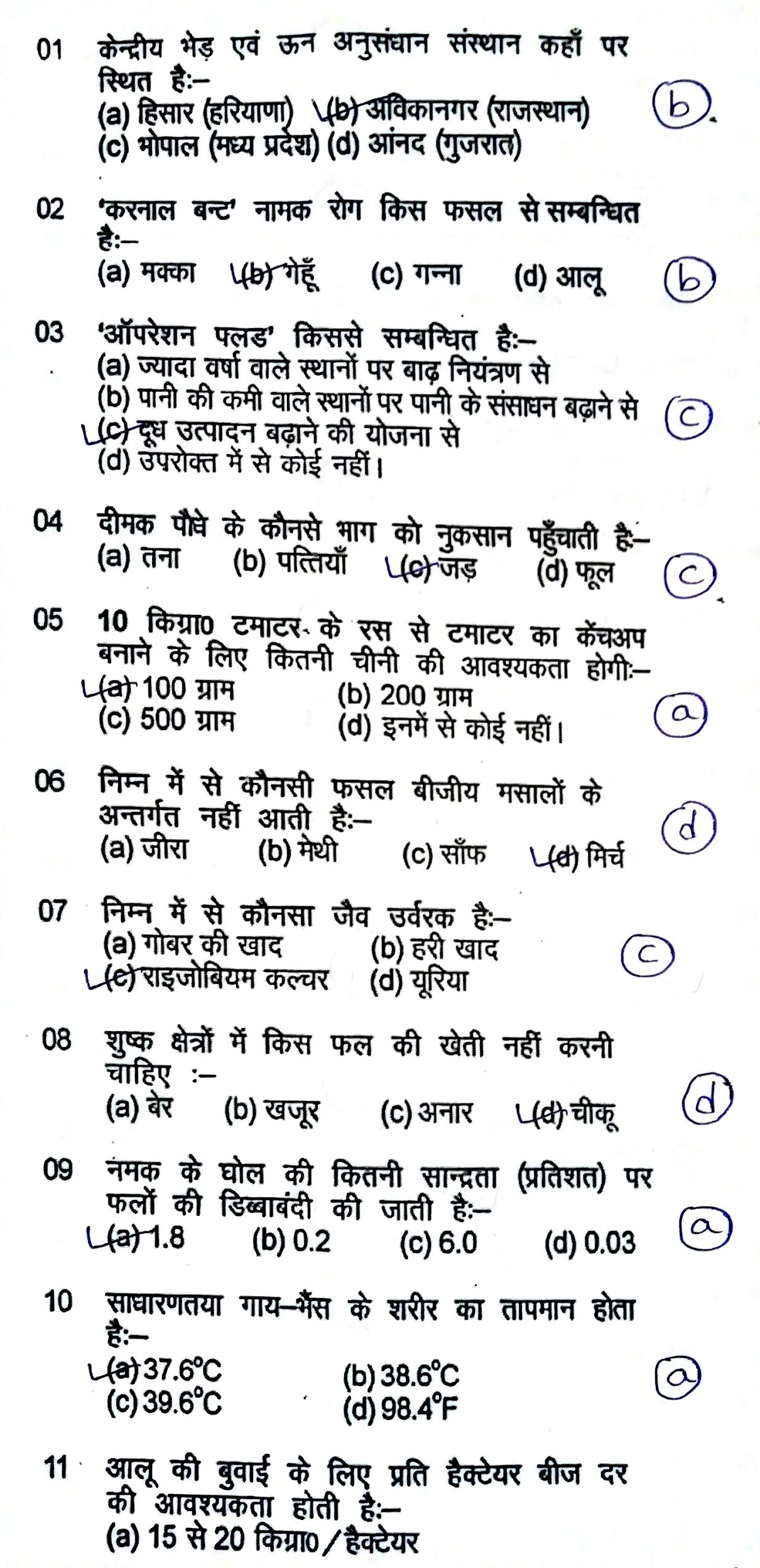 Genetically vigorous essay 05 picture