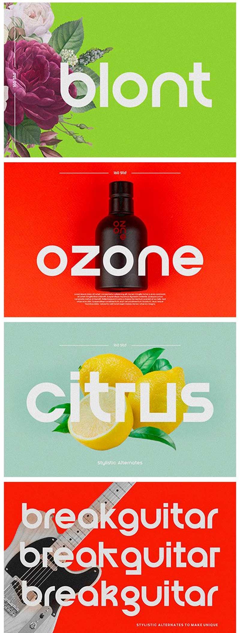 CM - Blont | Modern & Clean Logo Font 6259854 2 dgtjdtghujrty