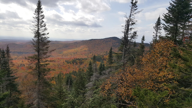 Point de vue à partir du somment du Pic Bald