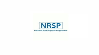 National Rural Support Programme NRSP UPAP Jobs 2021 Advertisement