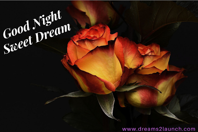 good night images good night images