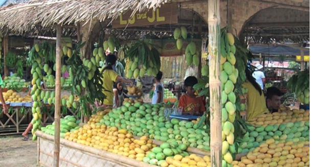 Creativity Works! @: All Those Mangoes Should Have Been Sold Before