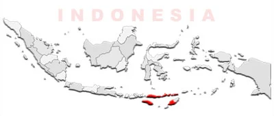 image: East Nusa Tenggara Map location