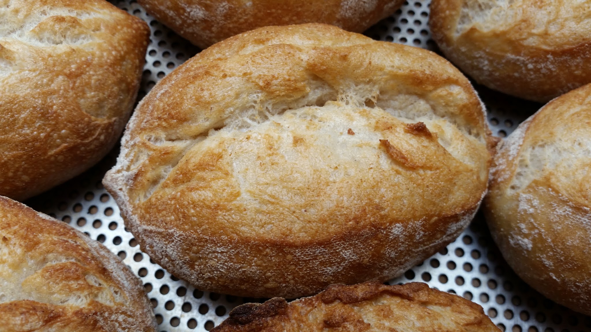 Frankenweck - knusprig knackige Brötchen mit langer Frischhaltung 12 Frankenweck, Zipfelweck, fränkische Kipf, frisch gebacken auf Lochblech