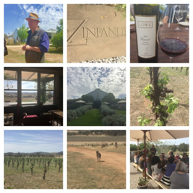 Collage of Zin House winemaker Robert Lowe, winemaker and various vineyard shots