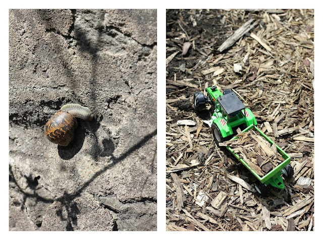 snails and tractors