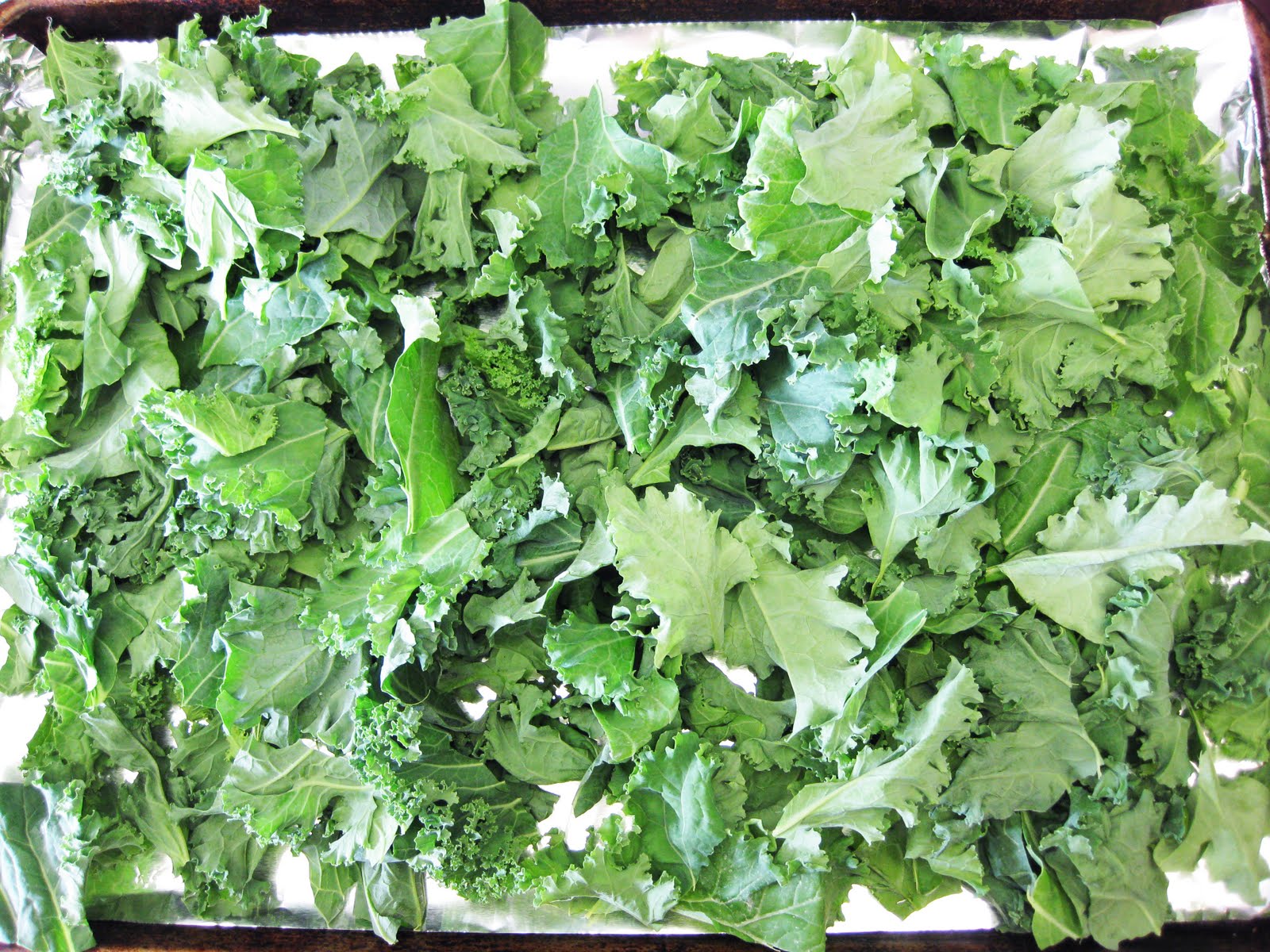 Bloatal Recall Kale Chips