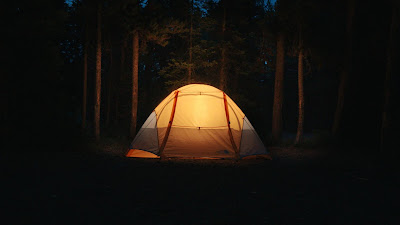 Camping, Night, Forest, Nature