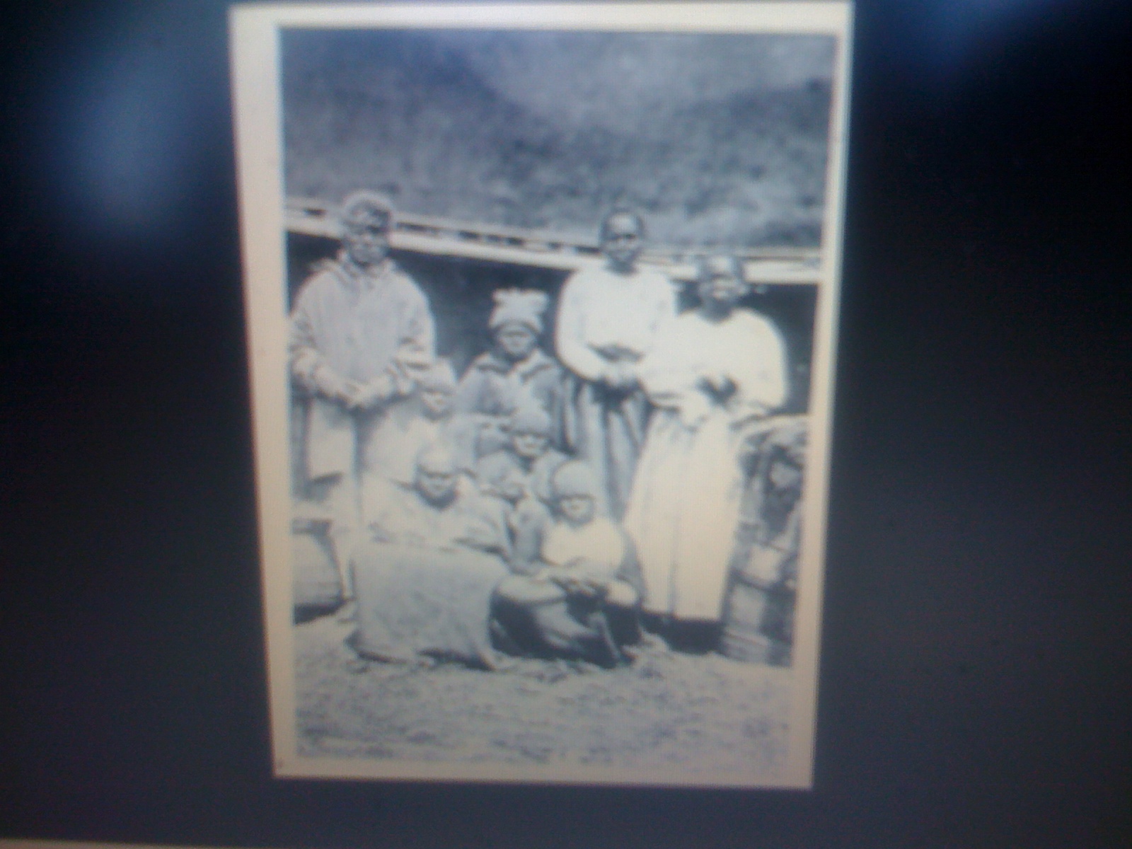 THE BLACK SOCIAL HISTORY BLACK SOCIAL HISTORY THE BLACK TASMANIANS