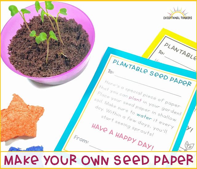 Homemade Seed Paper Kids Can Plant - Views From a Step Stool