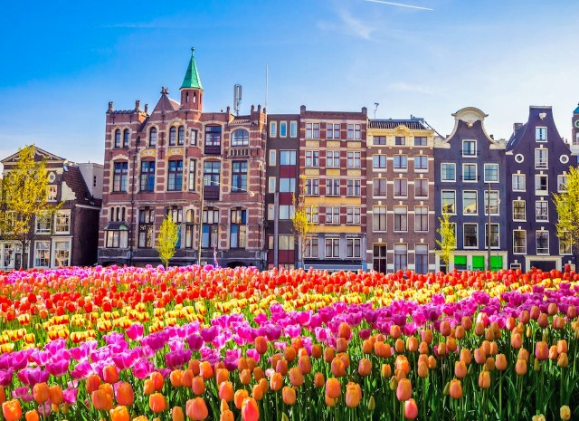 Amsterdam - Tulipani - Poracci In Viaggio amsterdam-tulipani-poracci-in-viaggio