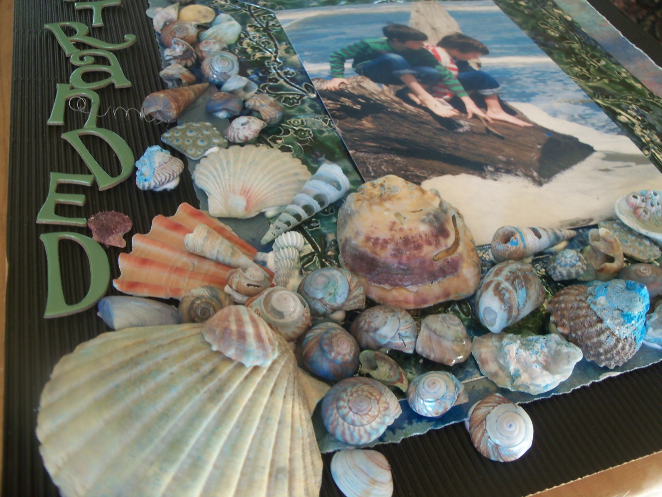 Sea shell layout