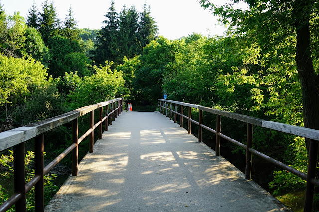 Bridge from parking lot to Mast Trail, Rouge River