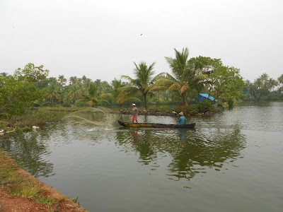 Cherai backwaters, Kerala backwaters