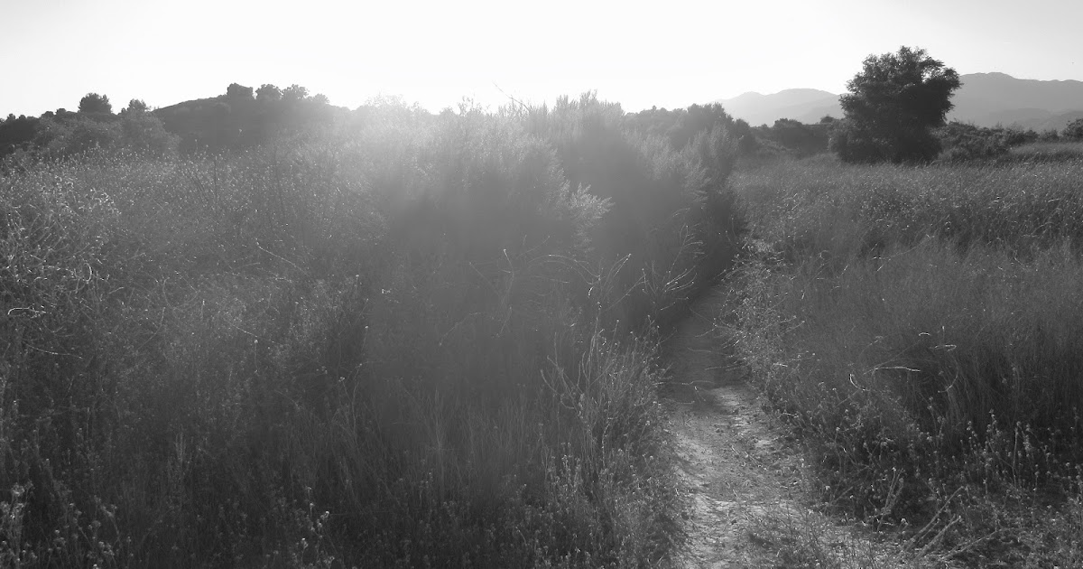 Two Wheel Tuesday The Shining Path