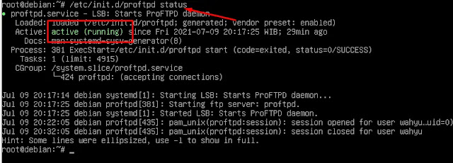 Cek Status FTP Server