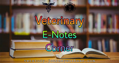 Veterinary E-Notes