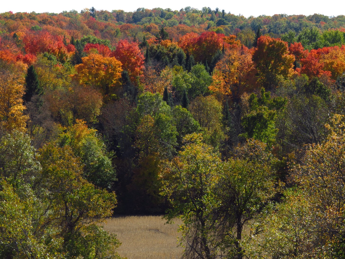 The World of Gord The Fall Colours of Eldorado, Ontario