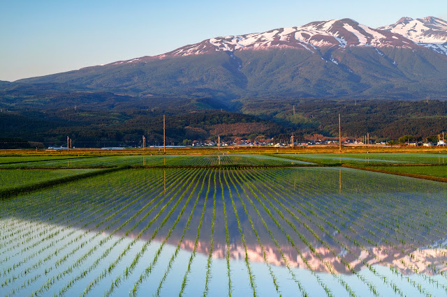#photo #landscape #sigma #foveon #sdquattroh #japan #yamagata #yuza #山形県 #遊佐町 #山形帝國 #写真 #風景写真