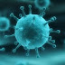 Diseases and Conditions