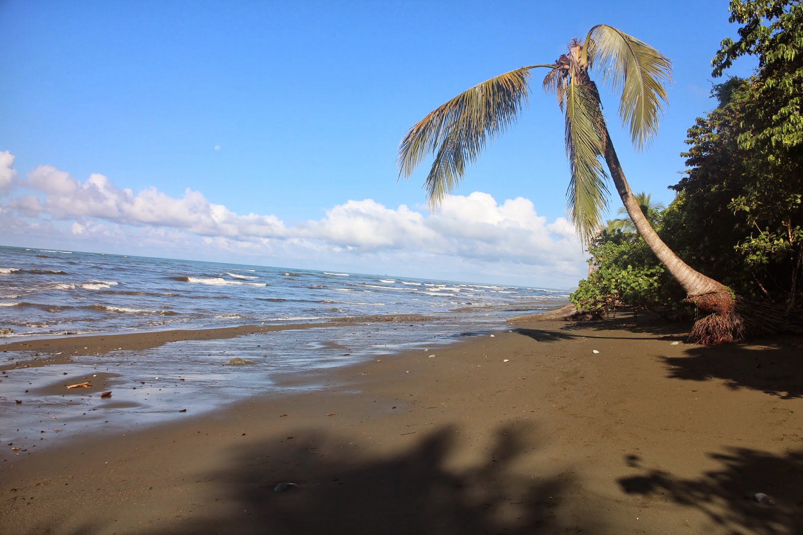 Journey's Travels: Costa Rica: Corcovado National Park