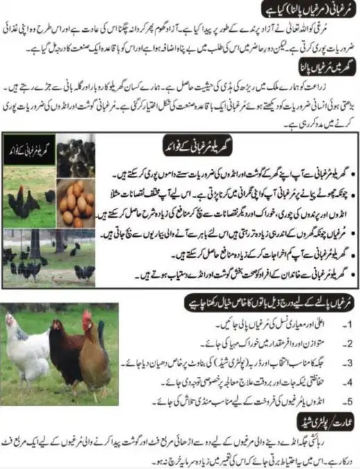 Hen Farming In Urdu Book