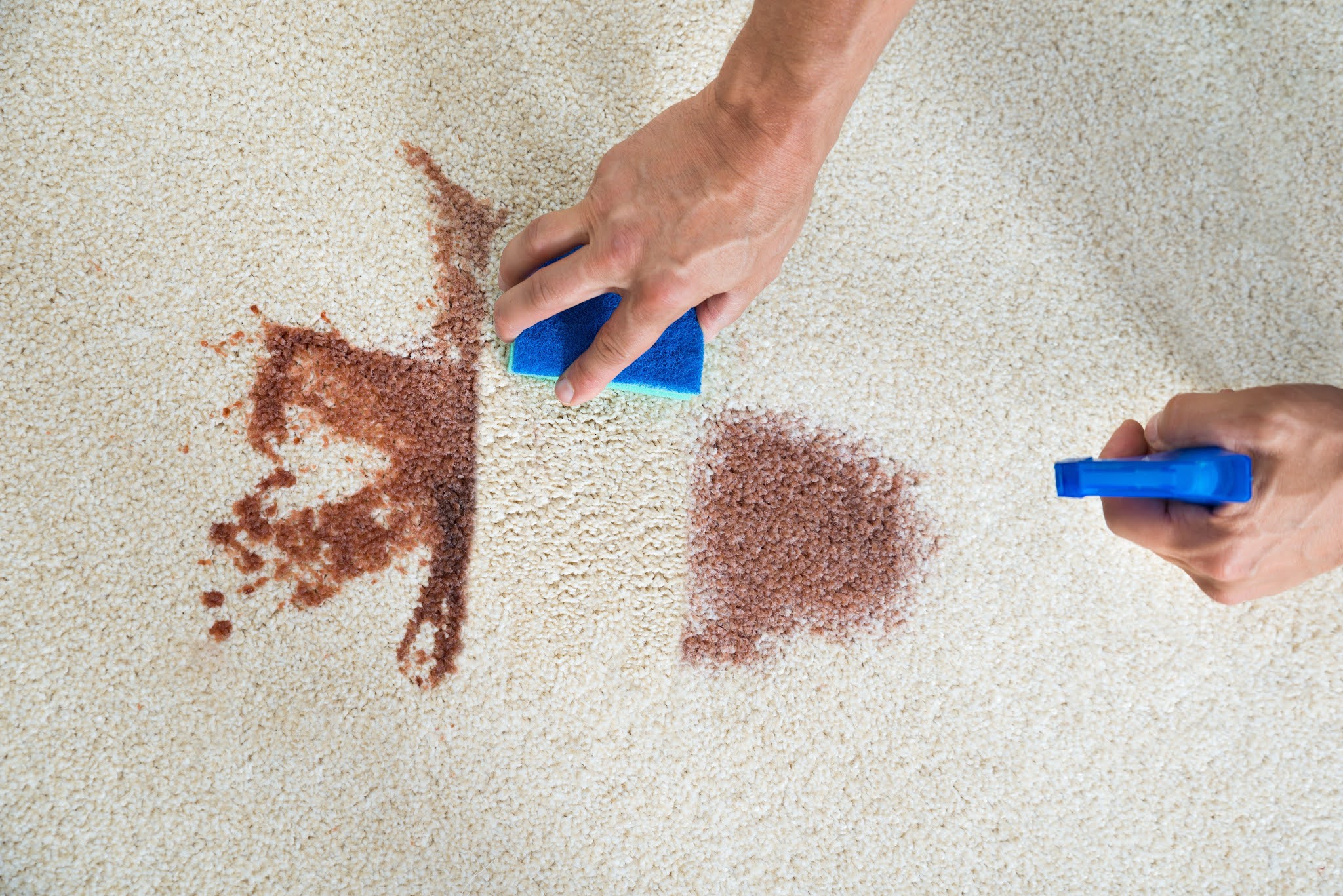 carpet stain removal