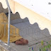 [Ελλάδα]Πέθανε ο 86χρονος που ζούσε επί 1,5 χρόνο εξόριστος στο μπαλκόνι του σπιτιού του 