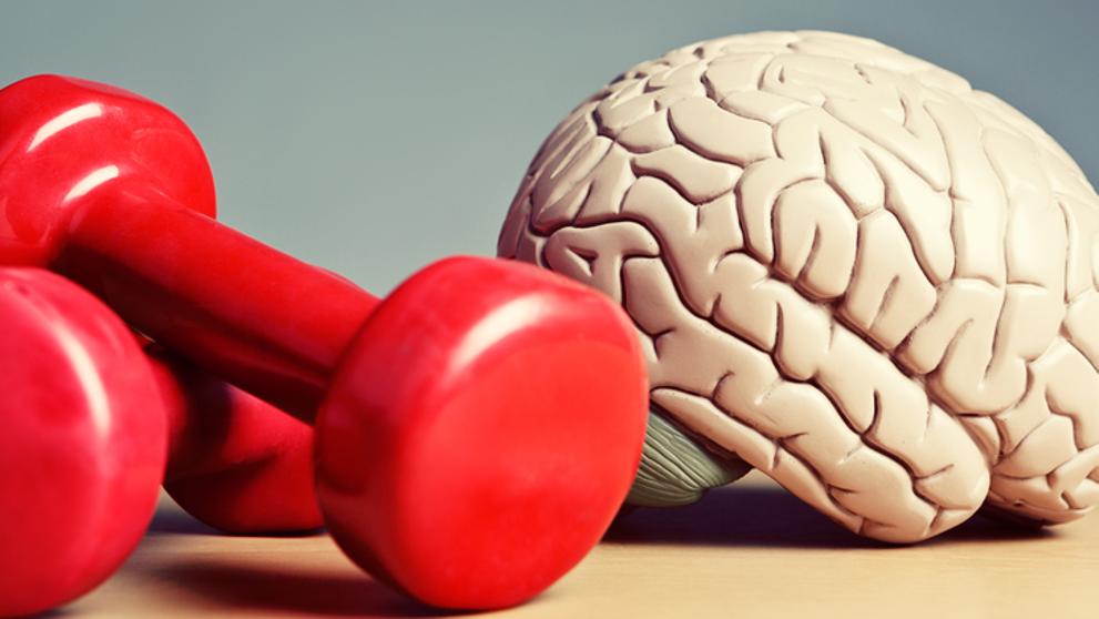 El ejercicio mejora el cerebro