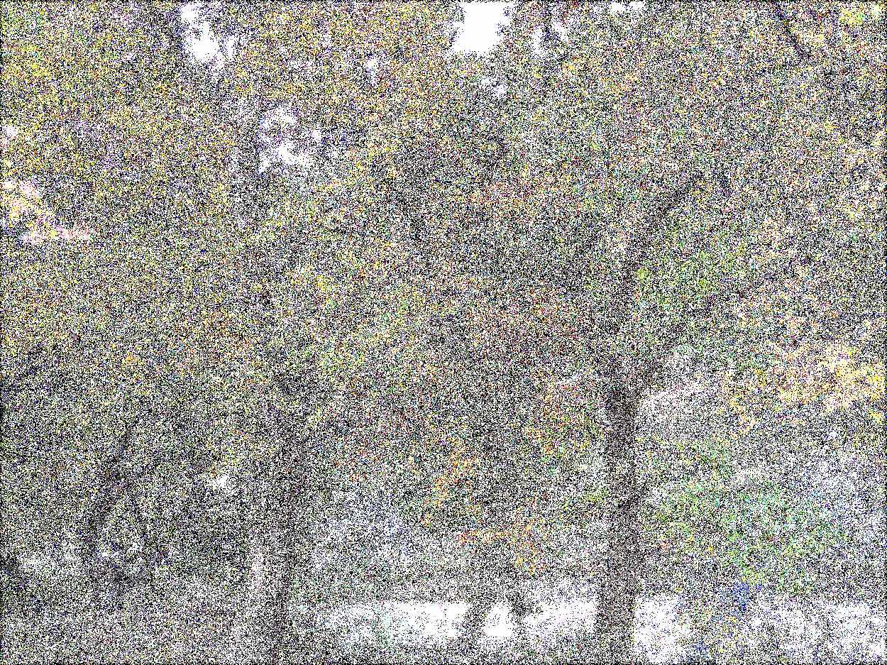 공주 태화산 마곡사 공주 태화산 마곡사