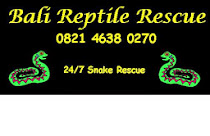 24/7 Snake Rescue