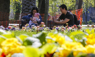 SHOA explico que la primavera comienzó oficialmente este lunes a las 4:50 horas am. SHOA explico que la primavera comienzó oficialmente este lunes a las 4:50 horas am.