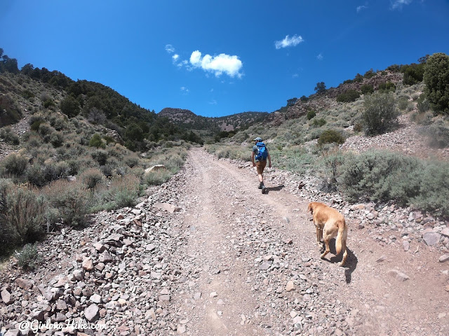 Hiking to Frisco Peak, Utah